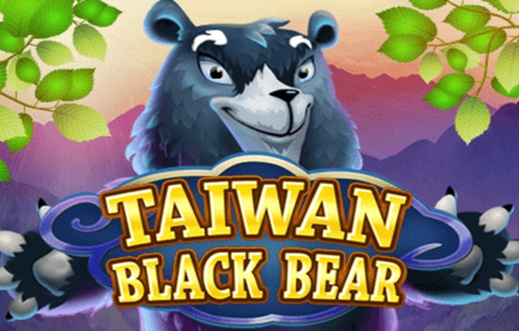 Taiwan Black Bear